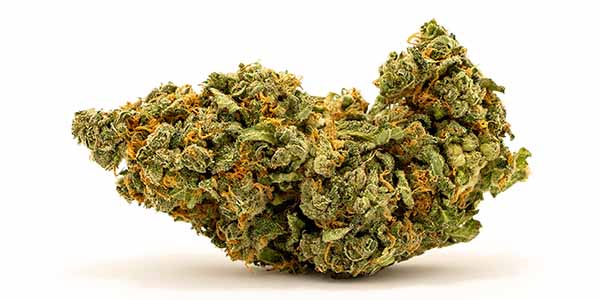 Good quality marijuana bud