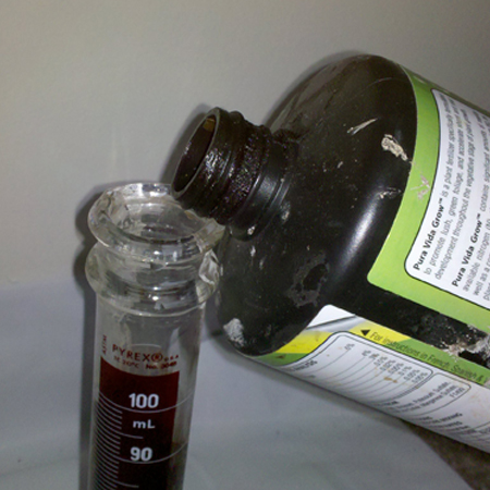 Grower flushing cannabis growing medium with pH-balanced water to fix nutrient burn.