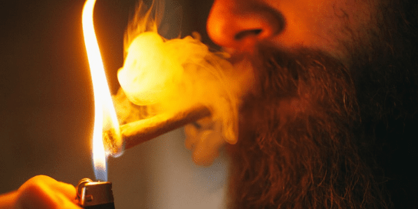 Banana Hammock strain Flavors