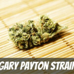 Gary Payton
