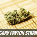 Gary Payton