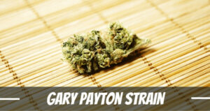 Gary Payton