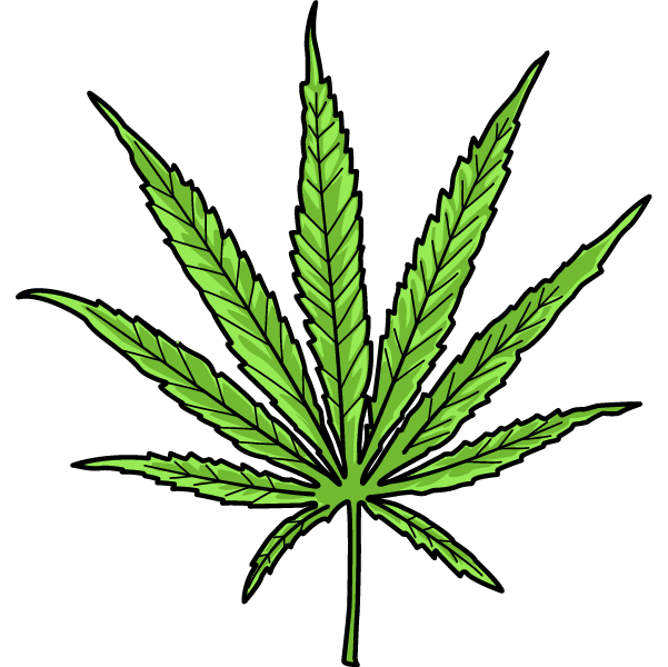 Picture of a Sativa leaf