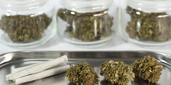 weed in a jar