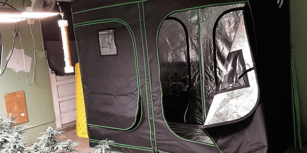 Grow Tent example