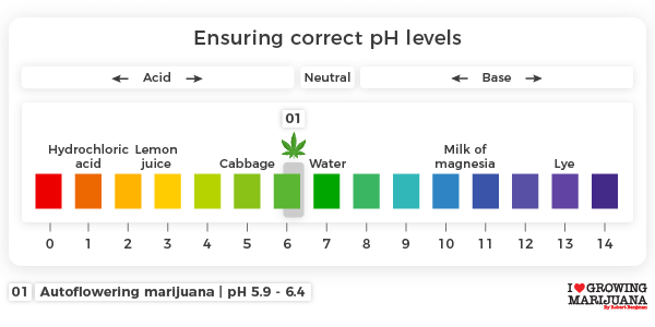 Ensuring correct pH levels