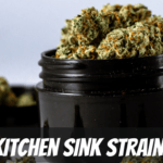 kitchen sink cannabis strain review