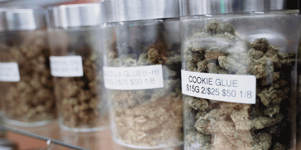 Storing cannabis