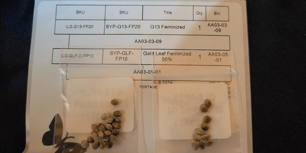 Marijuana seeds delivered by seed bank