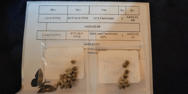 High quality weed seeds in a package