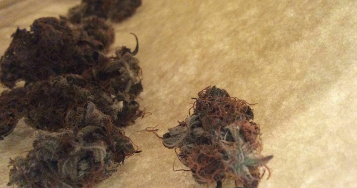 Unlocking Potency & Extraction Efficiency Freejoint