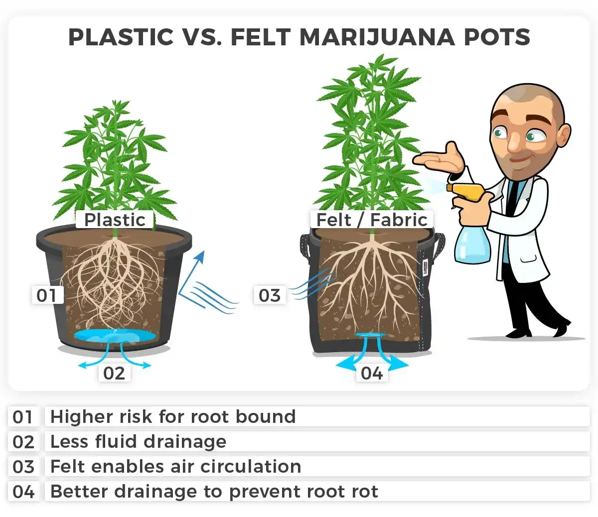 Best Size Pot for Autoflower Cannabis Seeds I Love Growing Marijuana