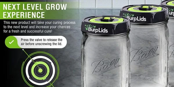 Burp Lids to cure your marijuana buds