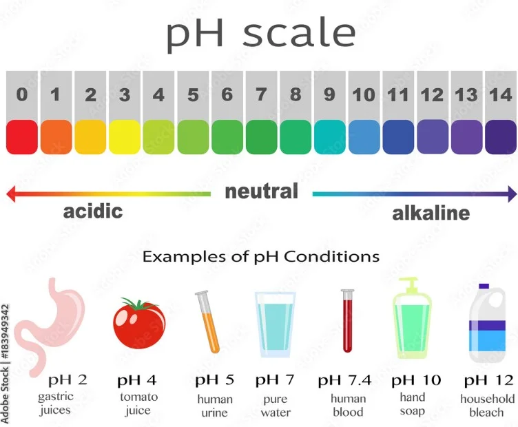 How Water pH Levels Affect Cannabis Seed Germination