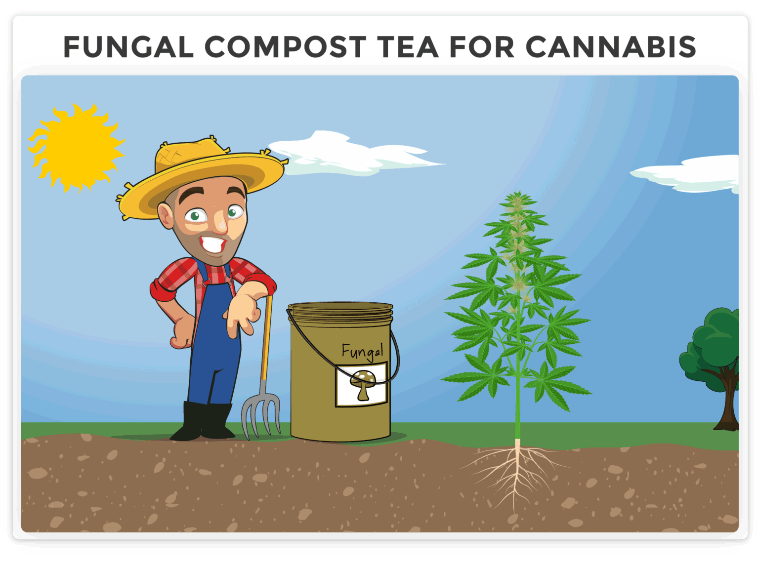 How to Make the Best and Easiest Compost Tea for Cannabis