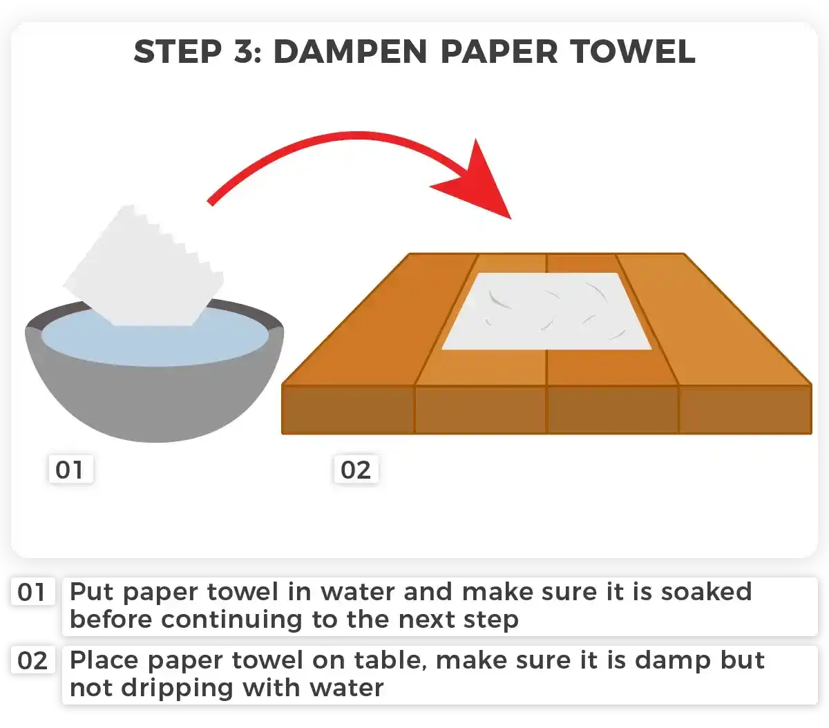How to Germinate Seeds Using the Paper Towel Method I Love Growing