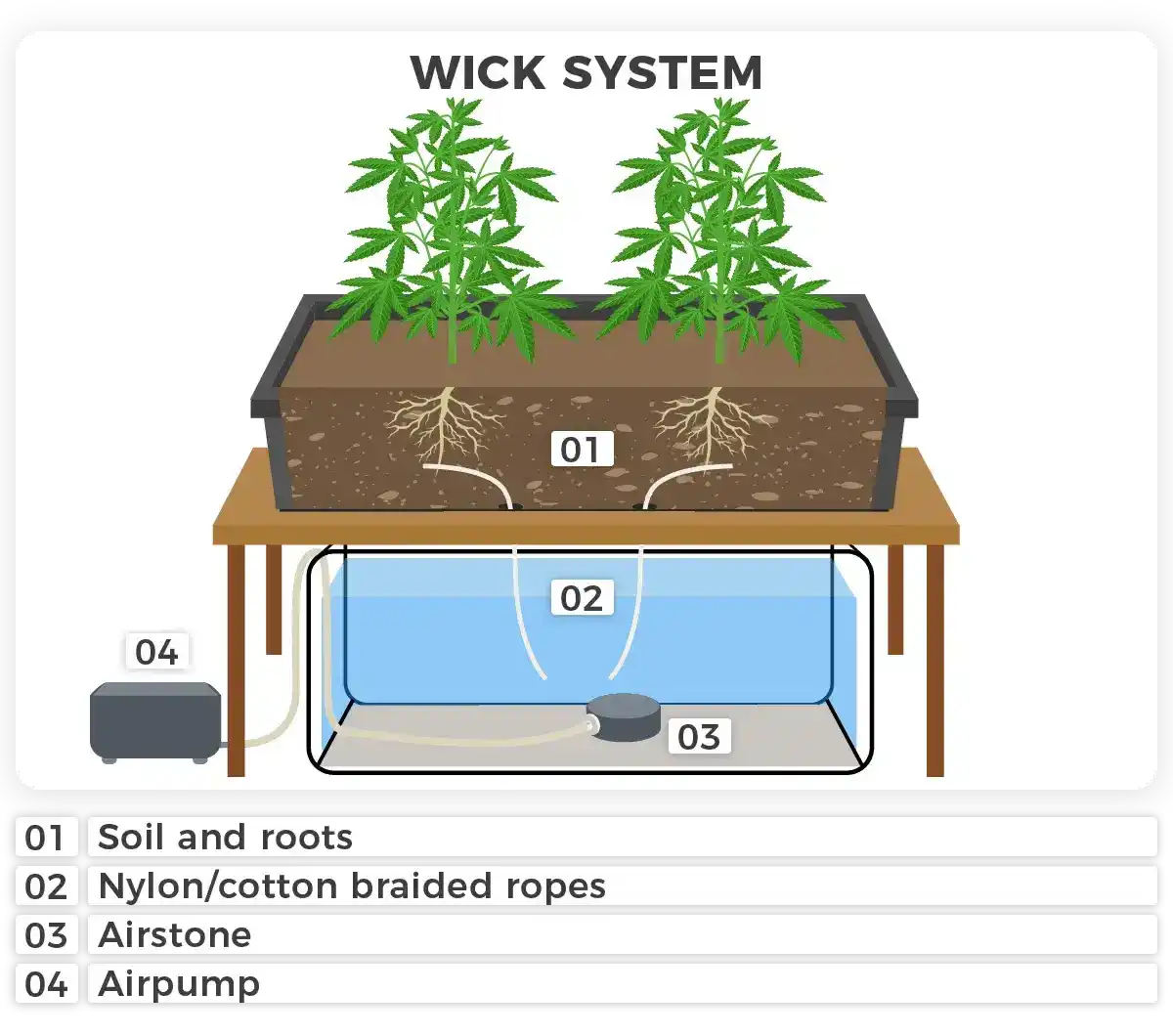 Are there medical marijuana dispensaries in Iowa near me