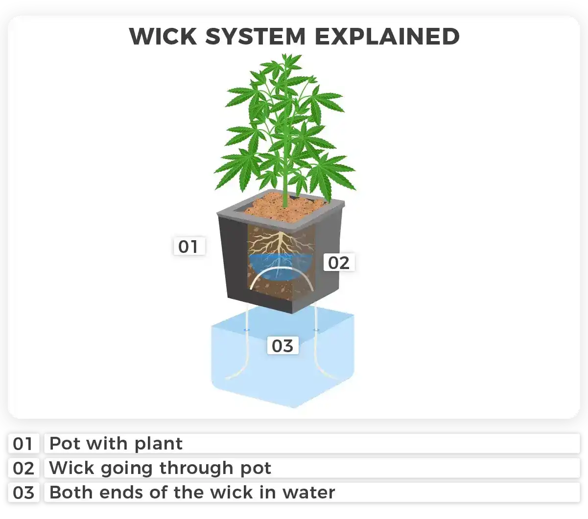 Are there medical weed dispensary in Iowa ?