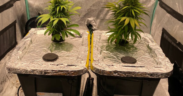 Ebb and Flow system in action