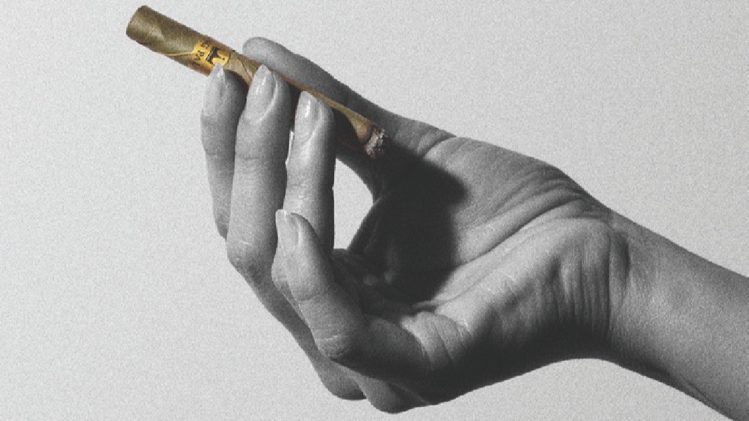 A hand holding KingPalm hand rolled leaf wraps