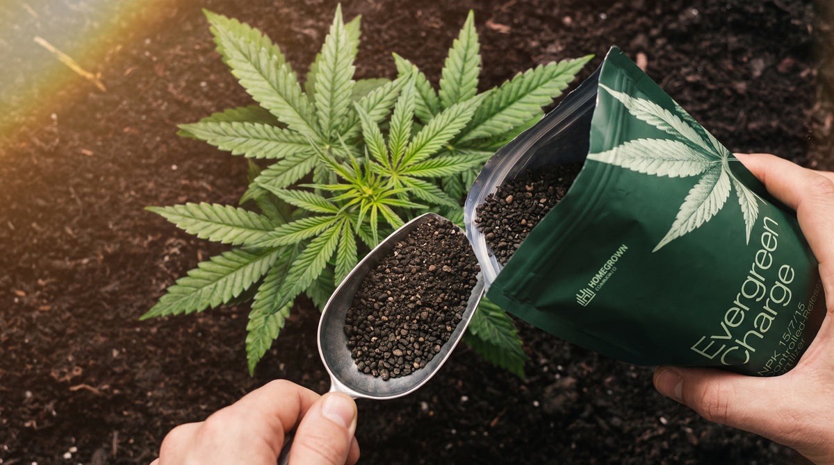 cannabis NPK ratio by growth stage.