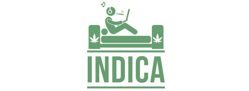 Cannabis indica stoned feel