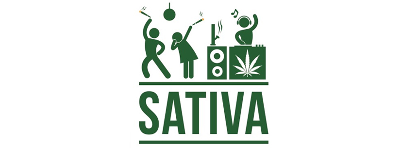 Sativa energizing and stimulating effect