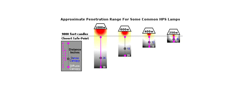 hps lamps distance yield