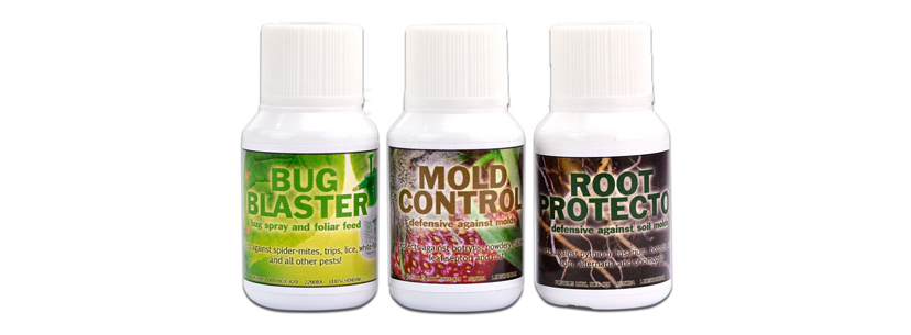 mold control cannabis