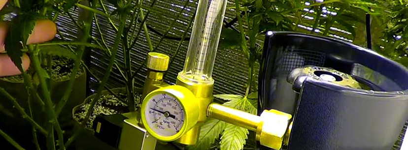 Co2 tank weed