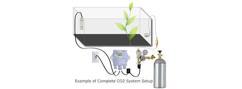 CO2 system setup