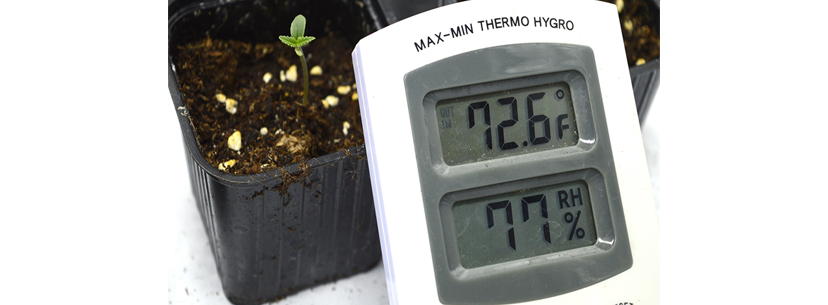 Humidity while growing