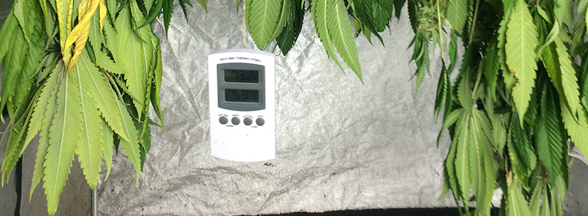 temperature and humidity while drying