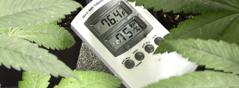 Measuring temperature and humidity