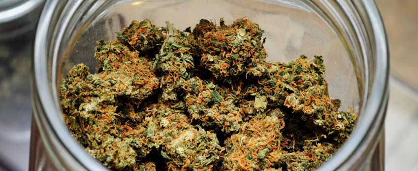 Store your dried weed