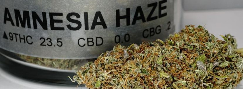 Amnesia Haze