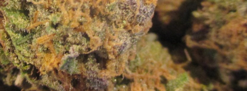 Blackberry Kush Effects
