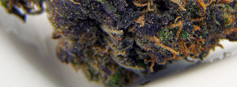 Blackberry Kush Flavor