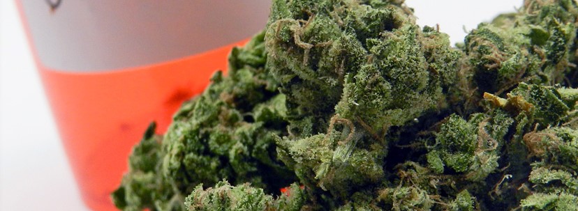 Blue Cheese Medical