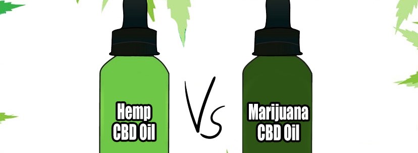 CBD vs THC