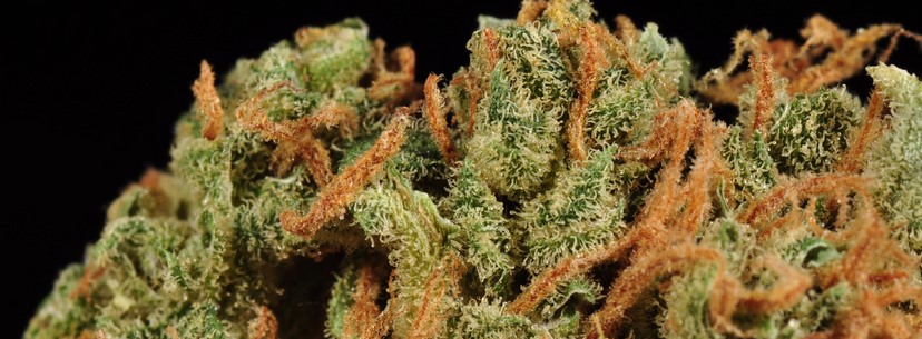 Chemdawg Effects