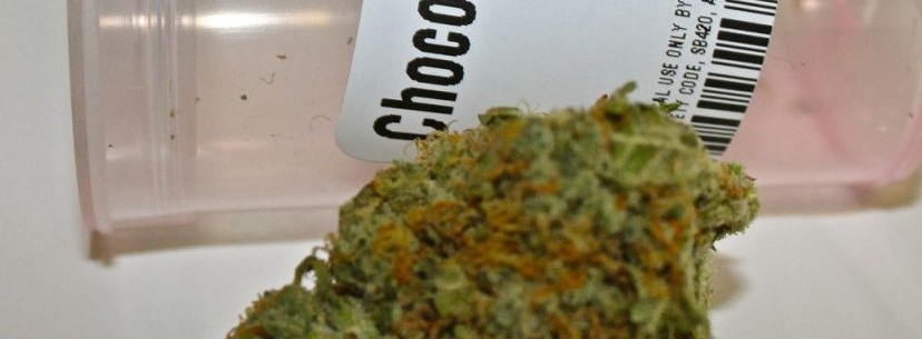Chocolope Medicine