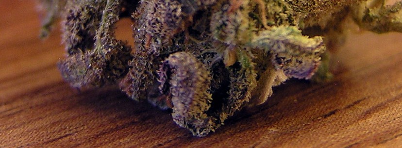 Grape Ape Effects