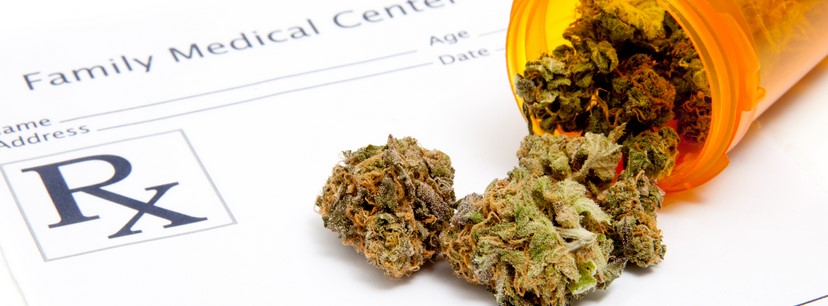 Medical Research in Marijuana for Lack of Appetite