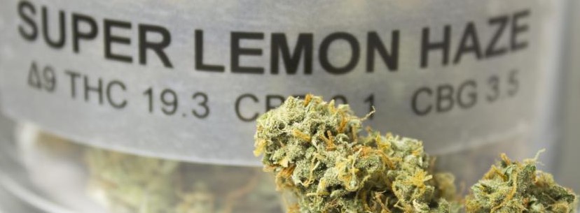 Super Lemon Haze