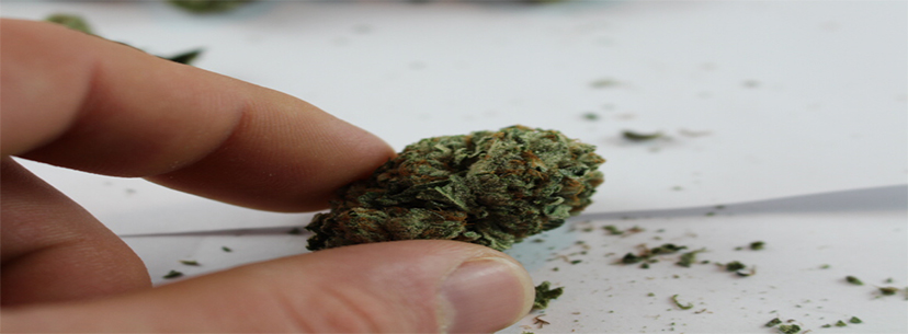 Bubba Kush bud