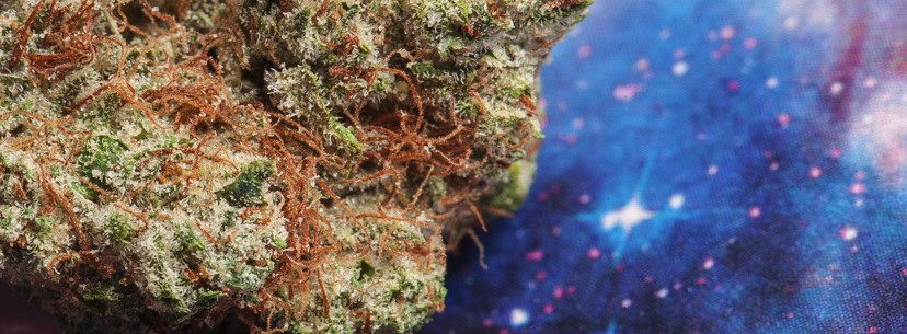 Alien OG Effects