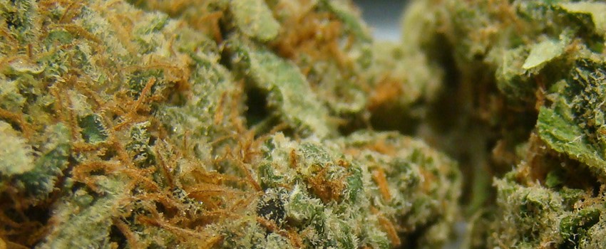 Banana OG Effects