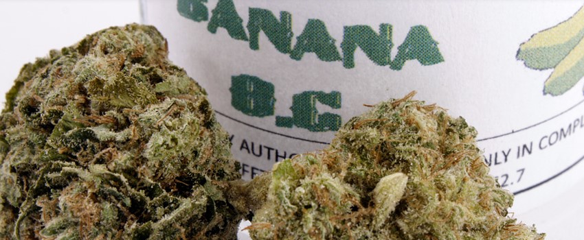 Banana OG Medical