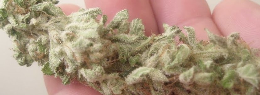 Death Star